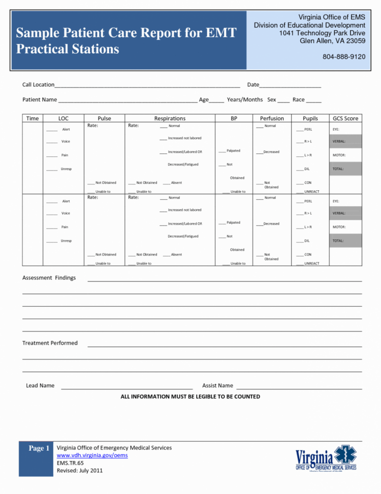 Free Ambulance Patient Report Form Templates Word Sample Minasinternational