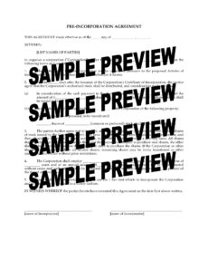 printable preincorporation agreement pre incorporation agreement template