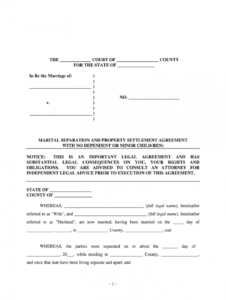 property settlement agreement  fill out and sign printable pdf template   signnow separation and property settlement agreement template