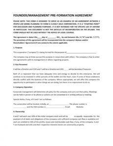 22 great founders agreement tramples for any startup ᐅ founder vesting agreement template word
