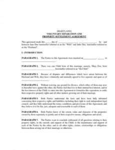 divorce settlement agreement template ~ addictionary divorce settlement agreement template example