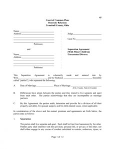 free 43 official separation agreement templates  letters  forms nys separation agreement template example