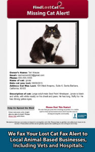 editable find lost cat  the 1 lost &amp;amp; found cat website in america found cat poster template doc