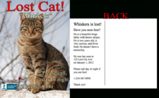 editable find lost cat  the 1 lost &amp; found cat website in america found cat poster template excel