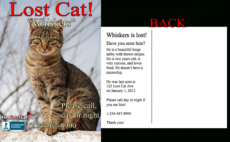 editable find lost cat  the 1 lost &amp;amp; found cat website in america found cat poster template excel