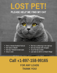 editable yellow black missing cat poster template found cat poster template word