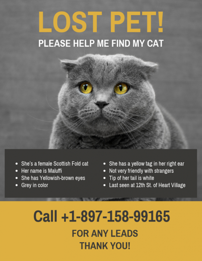 Editable Yellow Black Missing Cat Poster Template Found Cat Poster