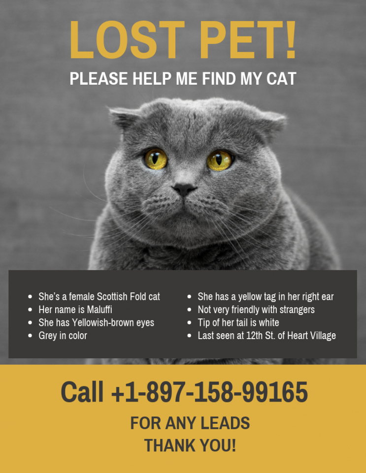 Missing Flyer Template