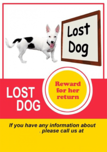 free 20 lost cat  dog flyer &amp;amp; poster templates for microsoft word lost animal poster template doc