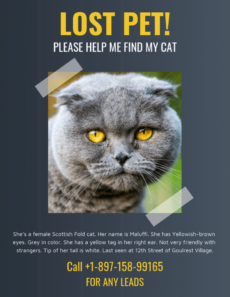 free dark missing cat poster template found cat poster template