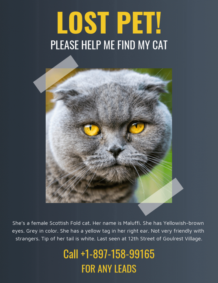 Free Dark Missing Cat Poster Template Found Cat Poster Template ...