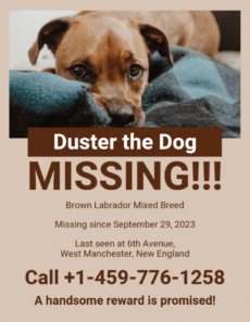 monochromatic missing dog poster template lost animal poster template sample