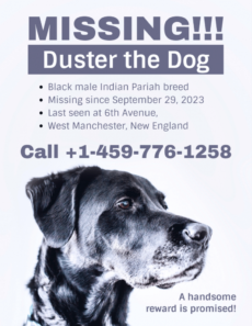 simple missing dog poster template lost animal poster template pdf