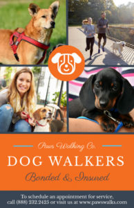 editable dog walkers poster template  mycreativeshop dog walking poster template excel