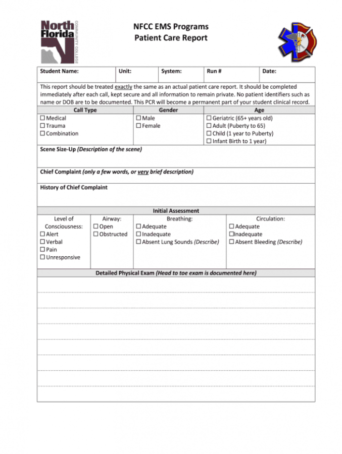 Patient Care Report Template Doc Fill Out And Sign Printable Pdf Template Signnow Patient Report 2563