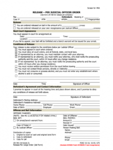 editable jail release form  fill out and sign printable pdf template  signnow jail release form template sample