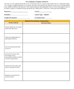 Editable Peer Feedback Form Template  Example