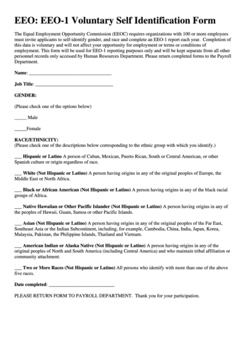 Free Equal Employment Opportunity Form Template Excel Example