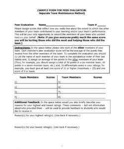 Peer Feedback Form Template