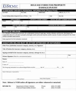 Professional Car Damage Form Template  Example