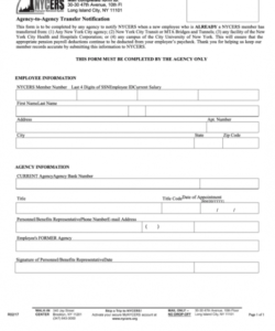 Professional Employment Agency Application Form Template Doc Example