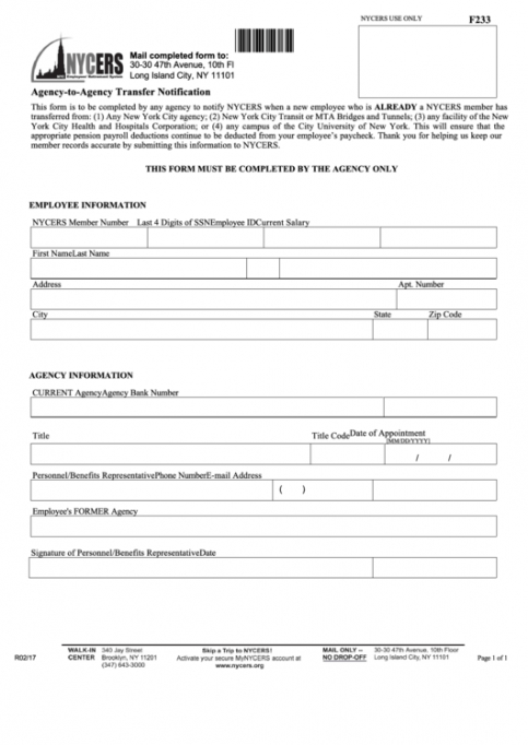 Professional Employment Agency Application Form Template Doc Example