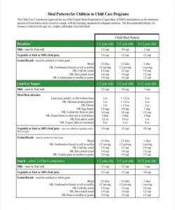 Professional Daycare Weekly Menu Template Word Sample