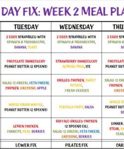 Free 21 Day Fix Menu Template Excel Example