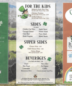 Professional Irish Pub Menu Template Pdf Example