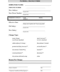 Professional Basic Payroll Change Form Template  Sample