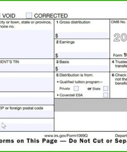 Costum Form 1099 Template  Sample