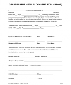 Media Release Form For Minors Template