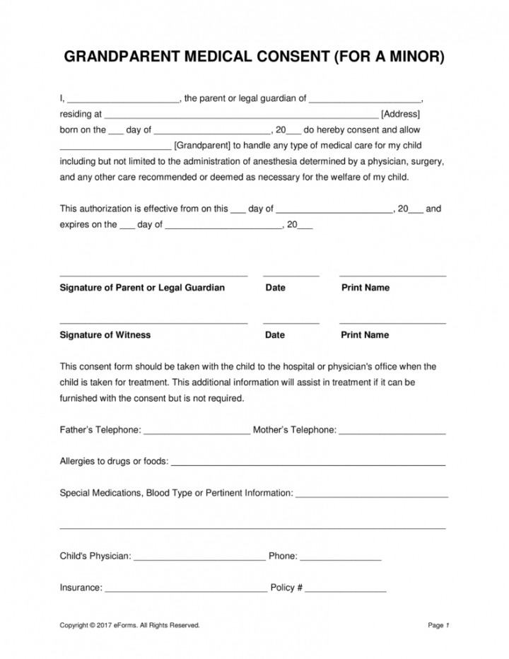 Editable Media Release Form For Minors Template Word Sample