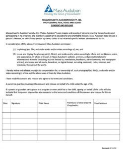 Editable Photo And Video Release Form Template