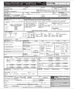 Free Health Physical Form Template  Example