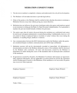 Free Volunteer Consent Form Template Doc