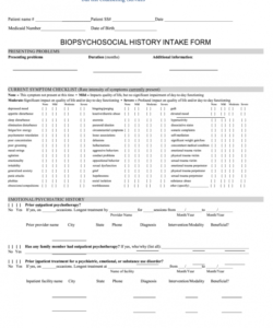 Printable Customer Intake Form Template  Sample