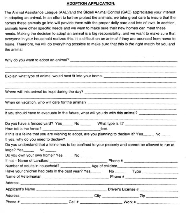 Professional Pet Adoption Form Template Word Sample