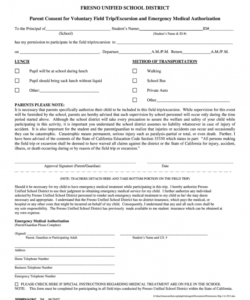 Professional Volunteer Consent Form Template  Sample