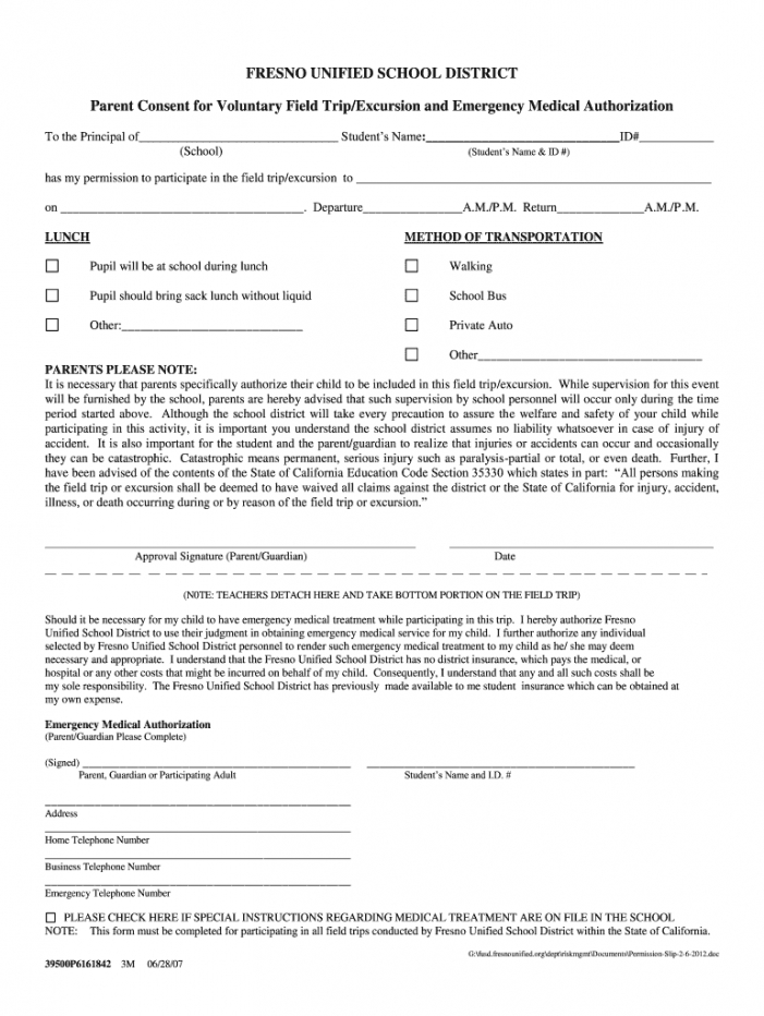 Professional Volunteer Consent Form Template  Sample