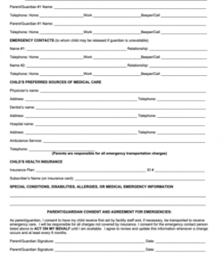 Daycare Emergency Contact Form Template Pdf Example