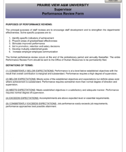 Professional Staff Supervision Form Template Doc Example