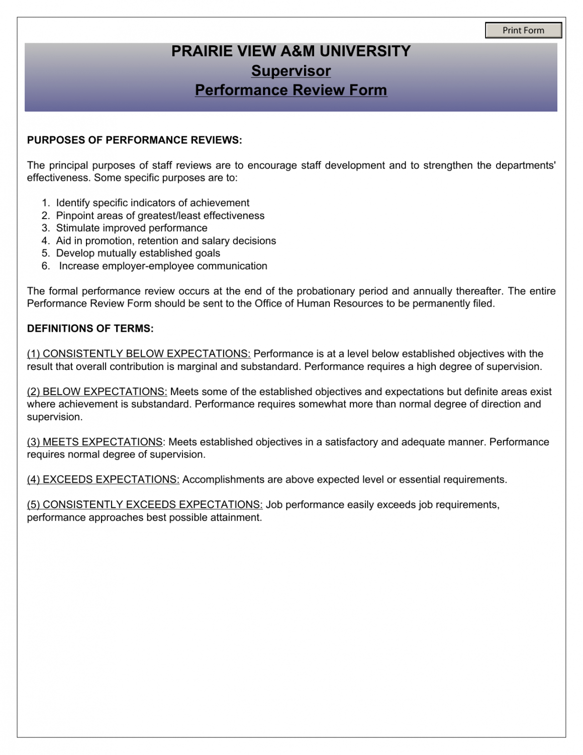 Professional Staff Supervision Form Template Doc Example