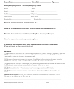 Costum Student Emergency Contact Form Template Word Sample