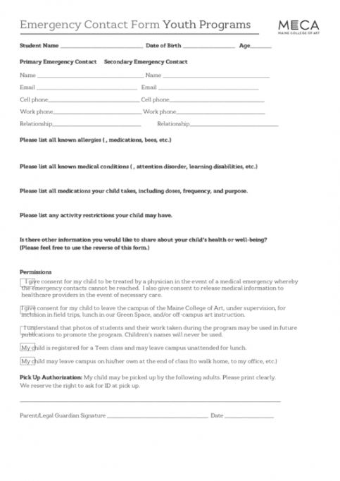 Costum Student Emergency Contact Form Template Word Sample