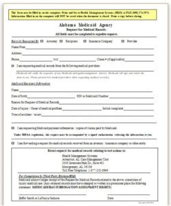 Editable Records Request Form Template Word