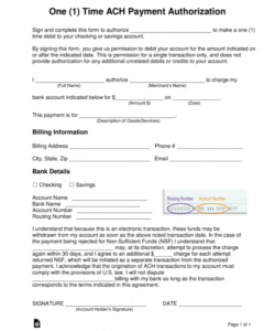 Payday Loan Credit Card Authorization Form One Time Ach Form Template Doc Example