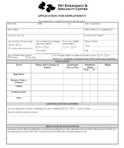 Costum Basic Job Application Form Template Doc Example