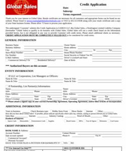 Costum Rental Credit Application Form Template  Example