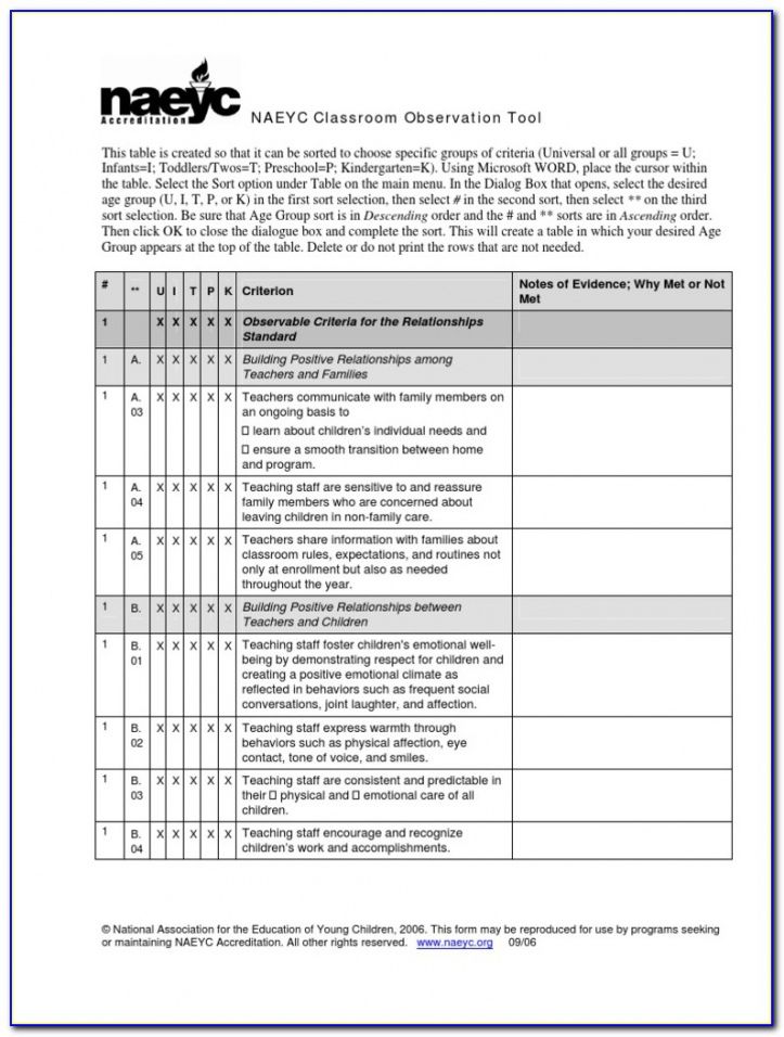 Printable Teaching Observation Form Template Excel Example